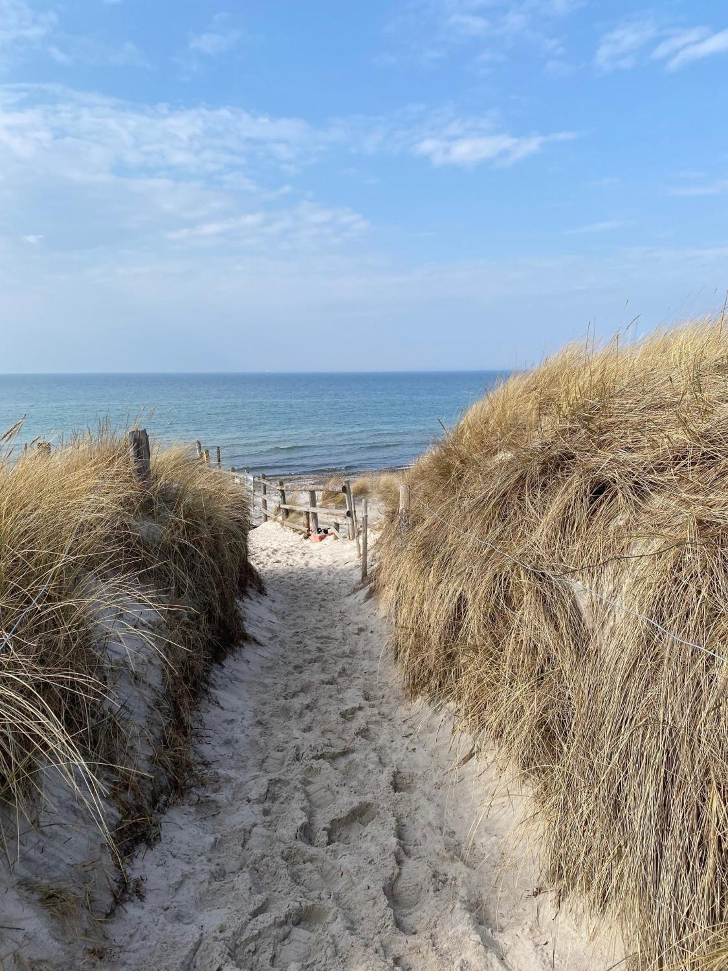 Whg 01 - Koje M Zingst Exterior foto
